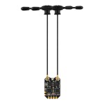 RadioMaster RP4TD ELRS 2.4G diversità doppia Antenna senza equipaggio veicolo aereo modello ala fissa